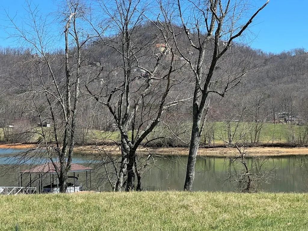 Lot 25 Mcintosh Circle, Hayesville, NC 28904 - Image #1