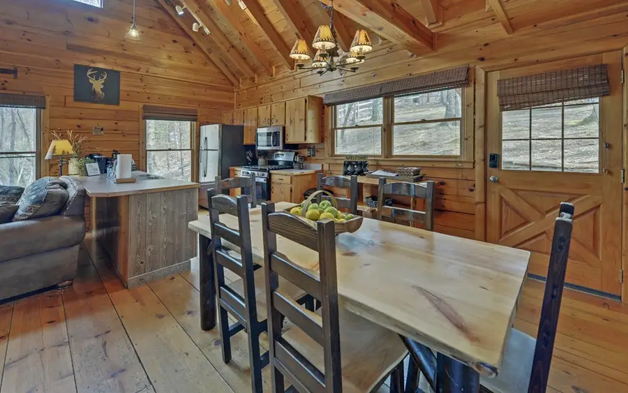 184 Smith Hill Road, Cherry Log, GA 30522 - #3