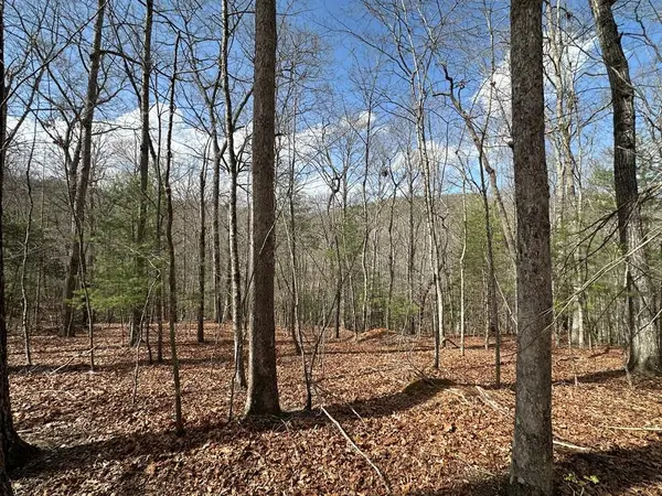 Lot 19 Black Oak Road, Blue Ridge, GA 20513
