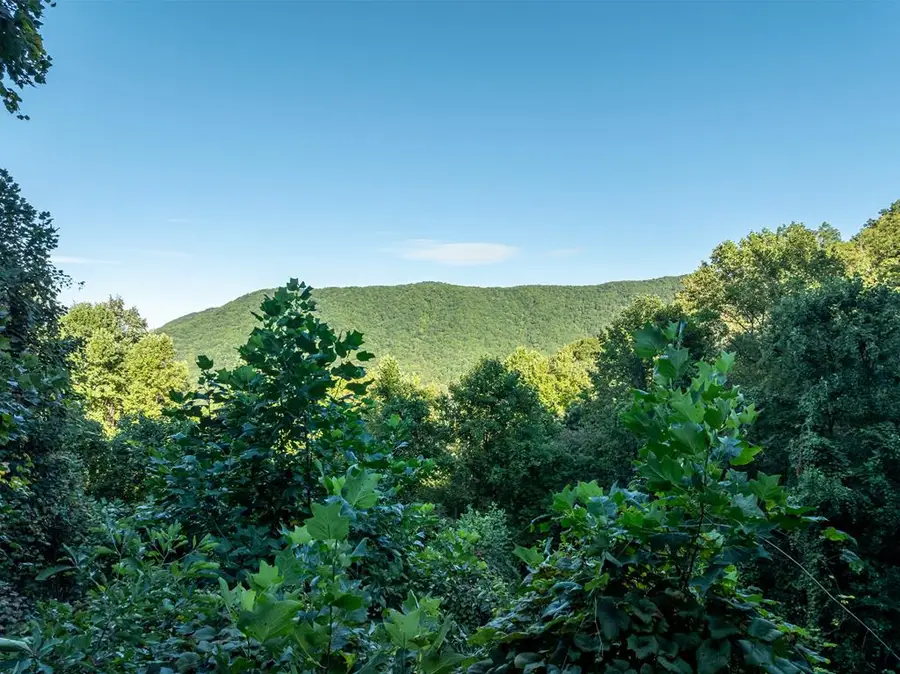 Lot 9 Moss Creek Trail, Ellijay, GA 30536 - #2