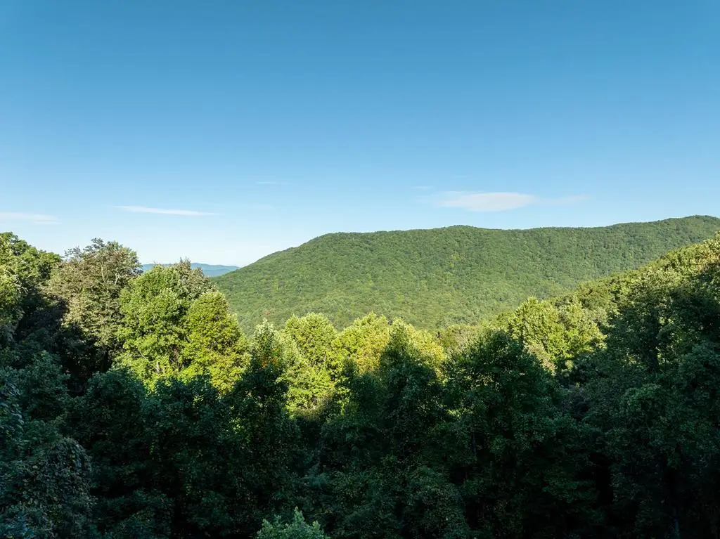 Lot 13 Wilderness Way, Ellijay, GA 30536 - Image #1