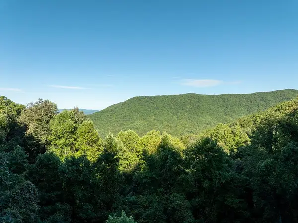 Lot 13 Wilderness Way, Ellijay, GA 30536