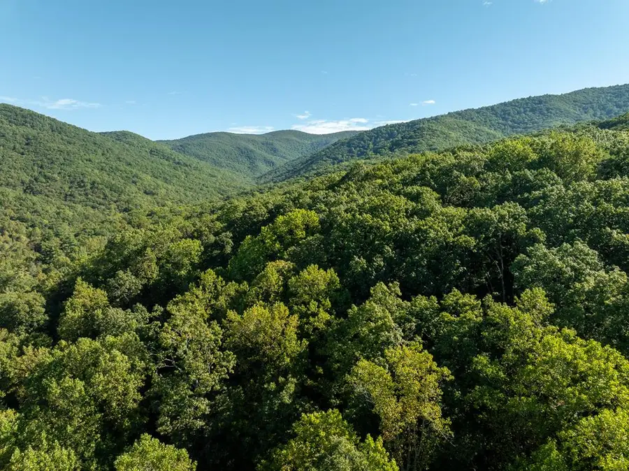 Lot 18 Wilderness Way, Ellijay, GA 30536 - #2