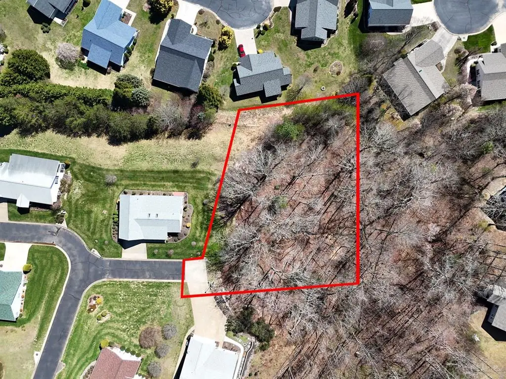 Lot 91 Peyton Drive, Blue Ridge, GA 30513 - #1