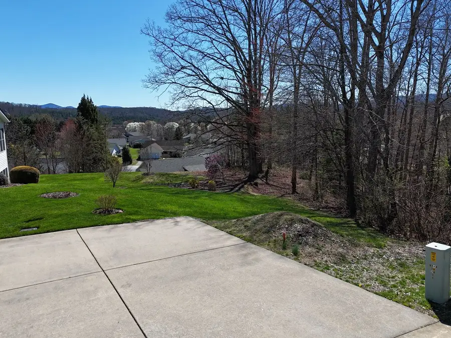 Lot 91 Peyton Drive, Blue Ridge, GA 30513 - #3