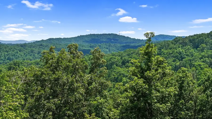 Lot 11 Haven Way, Blue Ridge, GA 30513 - Image #2