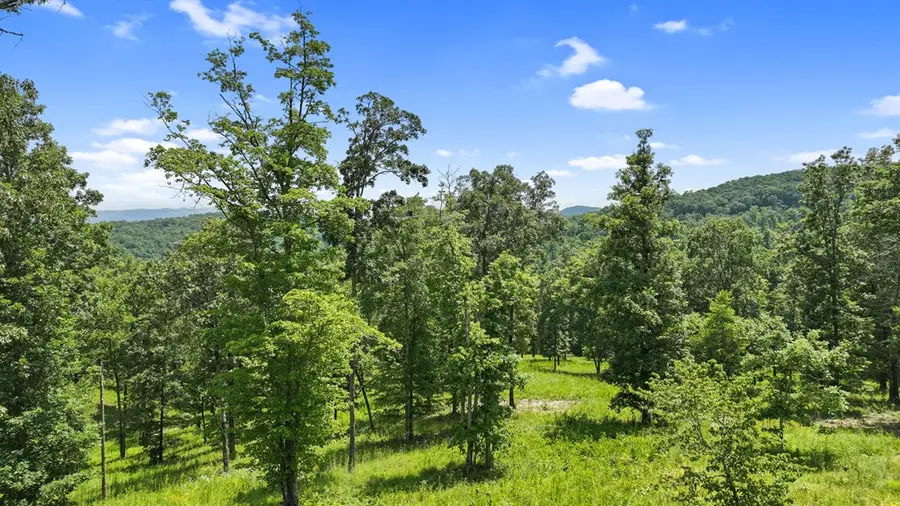 Lot 11 Haven Way, Blue Ridge, GA 30513 - Image #3