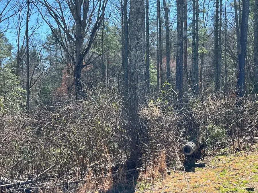 Lot 173 Highland Park, Blairsville, GA 30512 - Image #3