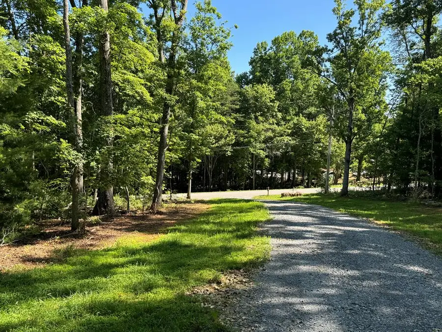 3058 River Road, Mineral Bluff, GA 30559 - #3