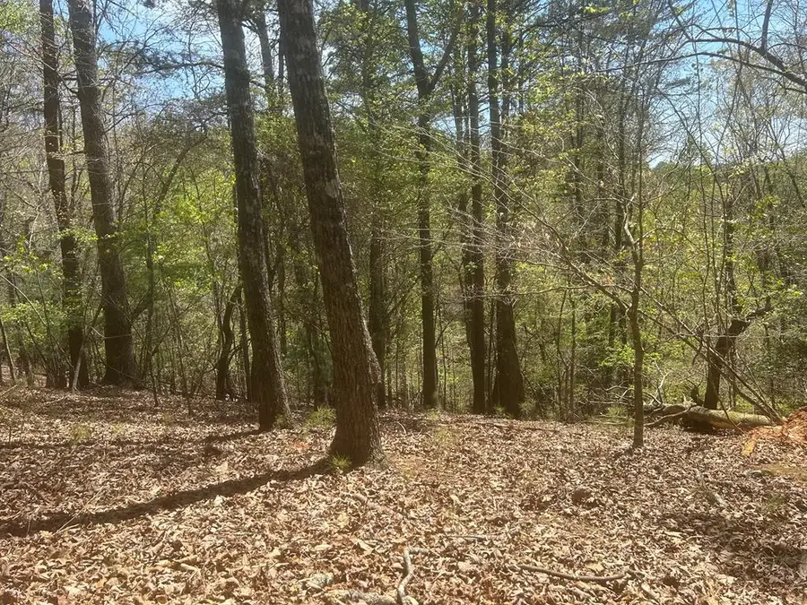 LT1944 Palmetto Drive, Ellijay, GA 30540 - Image #2