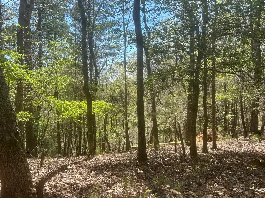 LT1944 Palmetto Drive, Ellijay, GA 30540 - Image #3