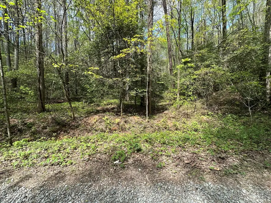 Lot 20 Big Ben Road, Ellijay, GA 30540 - Image #3