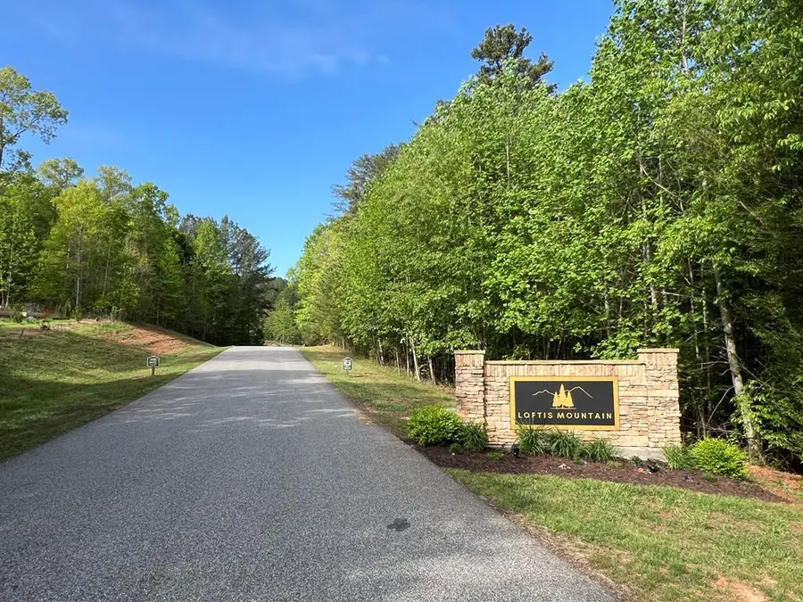Lot 25 Loftis Mountain, Blairsville, GA 30512 - #2