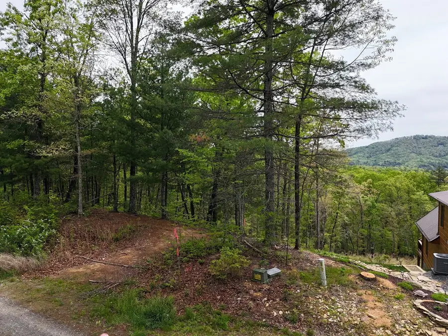 Lot 20 Crabapple Lane, Mineral Bluff, GA 30559 - #2