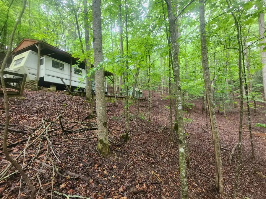 271 31st Street, Ellijay, GA 30540 - Image #2