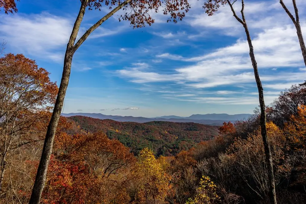 36 Utana Bluffs Trail, Ellijay, GA 30540 - Image #1