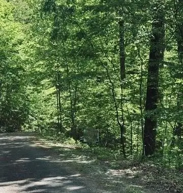 409&411 Barefoot Rise, Hiawassee, GA 30546