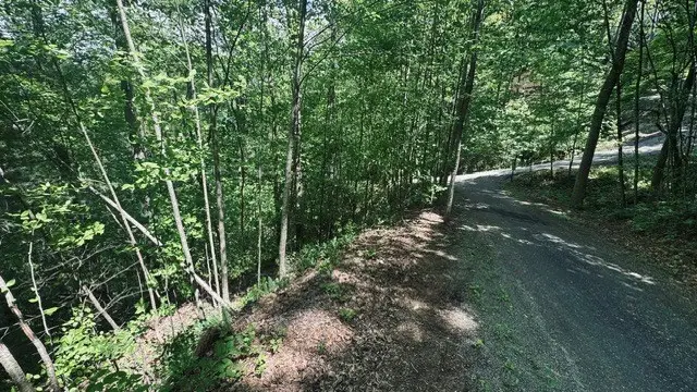 409&411 Barefoot Rise, Hiawassee, GA 30546 - #2