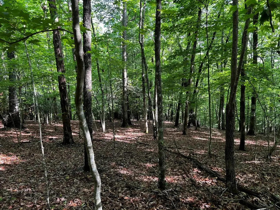 3.52 AC Payne Way, Blairsville, GA 30512 - Image #3