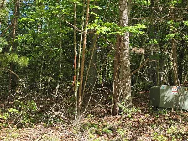 Tract 4A Garland Lane, Young Harris, GA 30582