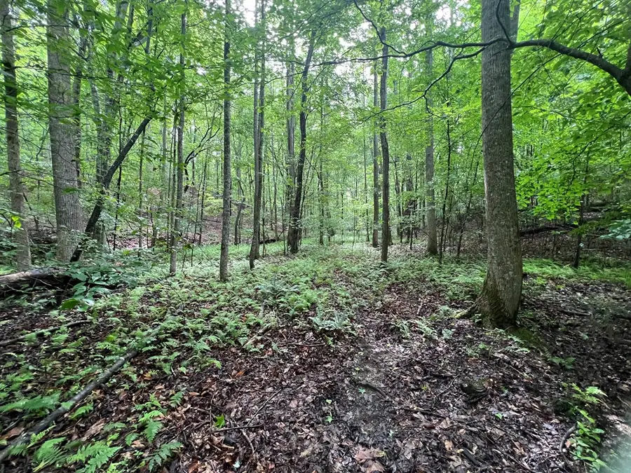 395 Able Road, Waleska, GA 30183 - Image #3