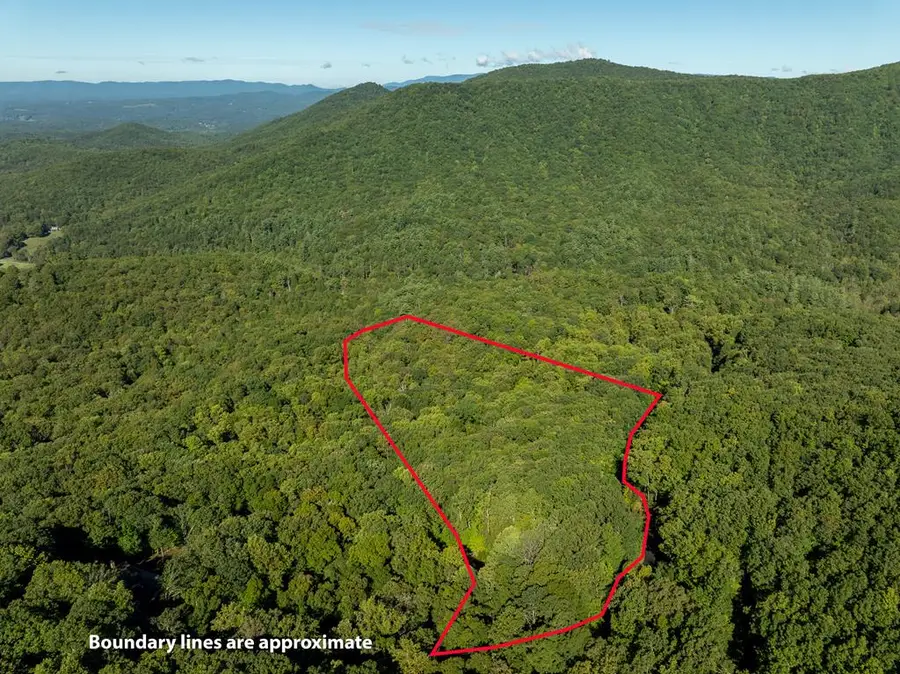 Lot 4 Wilderness Way, Ellijay, GA 30536 - #2