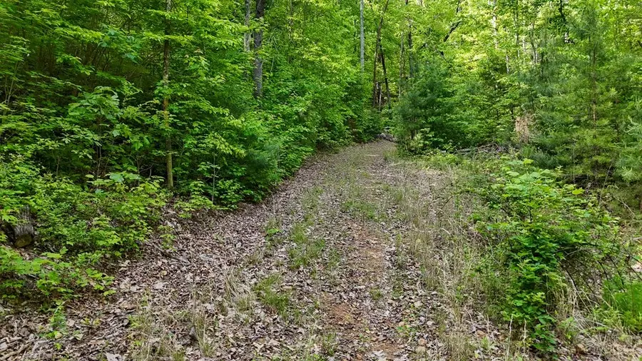 00 Hialeah Way, Murphy, NC 28906 - #3