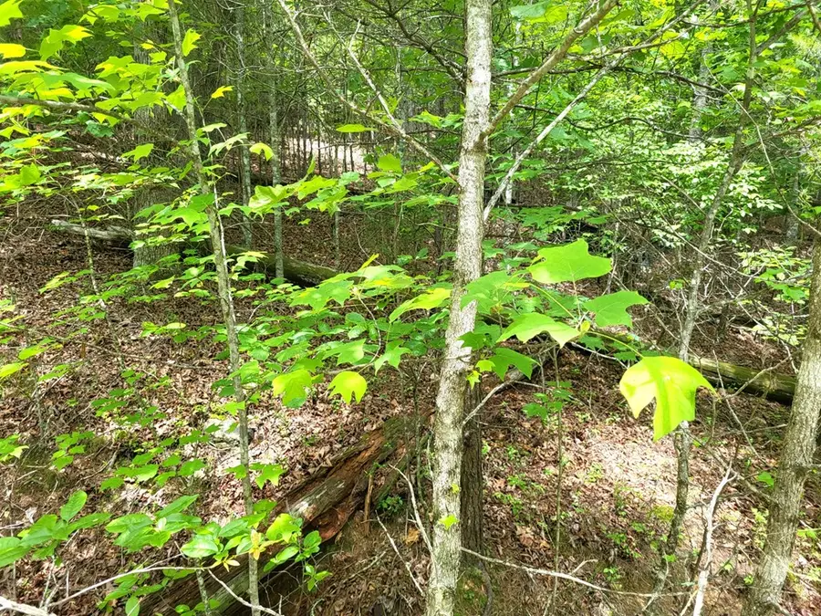 Lot 9 Folklore Court, Morganton, GA 30560 - Image #3