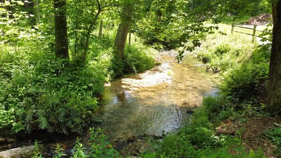 Tract 2 Timber Ridge Road, Blairsville, GA 30512 - Image #2