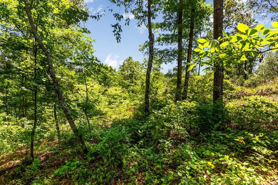 LT160 Shallow Water Trail, Talking Rock, GA 30175 - Image #2