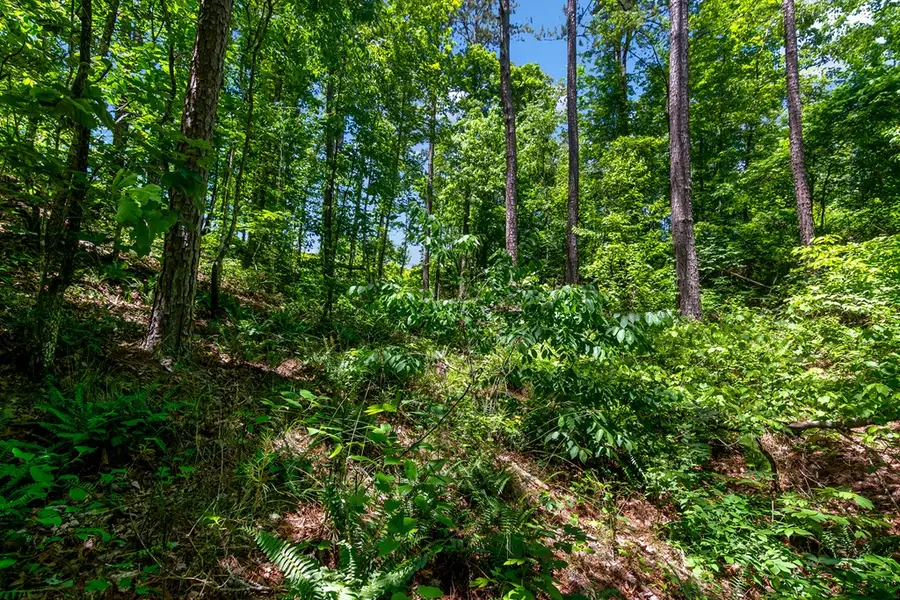 LT160 Shallow Water Trail, Talking Rock, GA 30175 - Image #3
