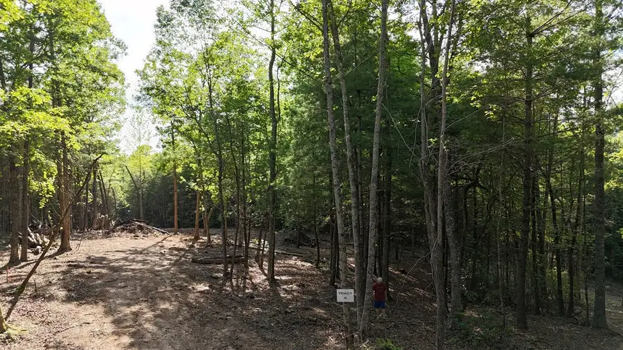 TR A E New Hope Road E, Ellijay, GA 30536 - #3