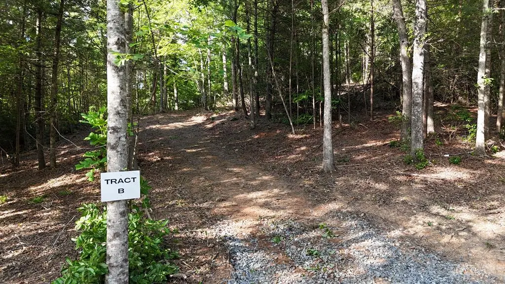 TR B E New Hope Road E, Ellijay, GA 30536 - #1