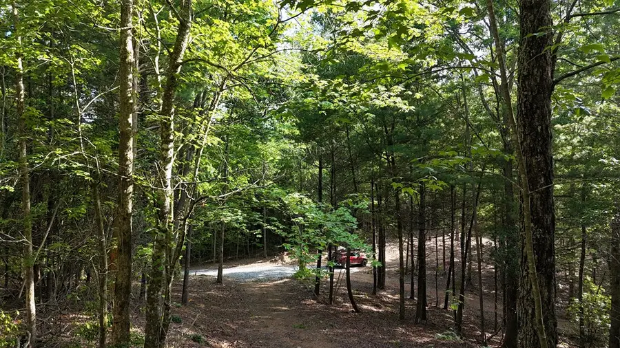 TR B E New Hope Road E, Ellijay, GA 30536 - #3