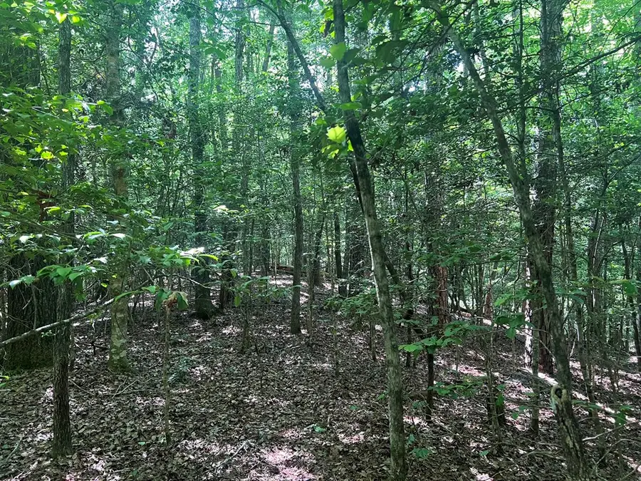 000 Tobe Stalcup Road, Murphy, NC 28906 - #3