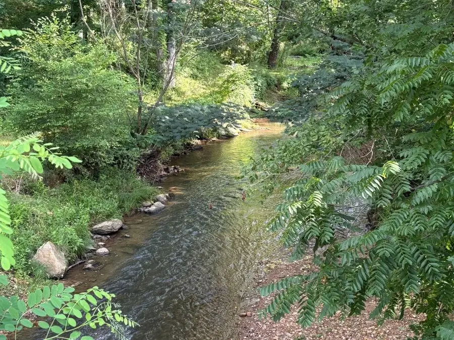 5827 Brasstown Creek Est, Young Harris, GA 30582 - Image #2