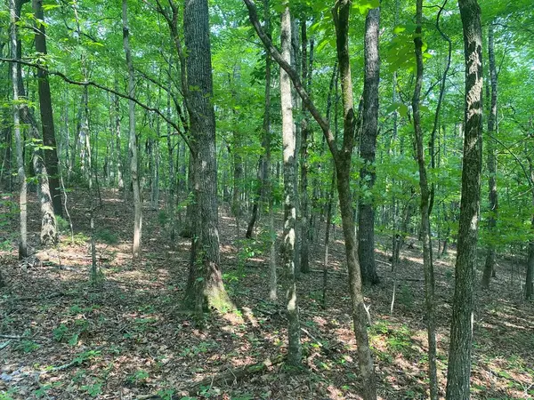 Lt 51,53 Squirrel Hunting Road, Ellijay, GA 30536