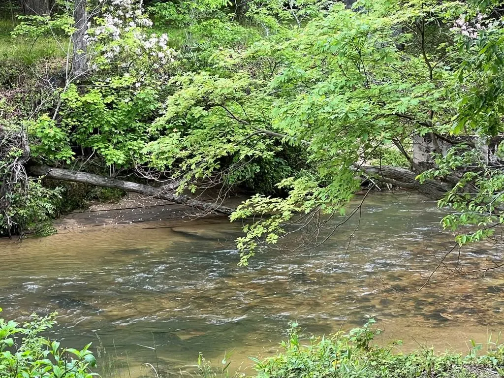 Lot 52 Madeline Way, Blairsville, GA 30512 - Image #1