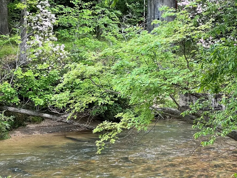 Lot 52 Madeline Way, Blairsville, GA 30512 - Image #2