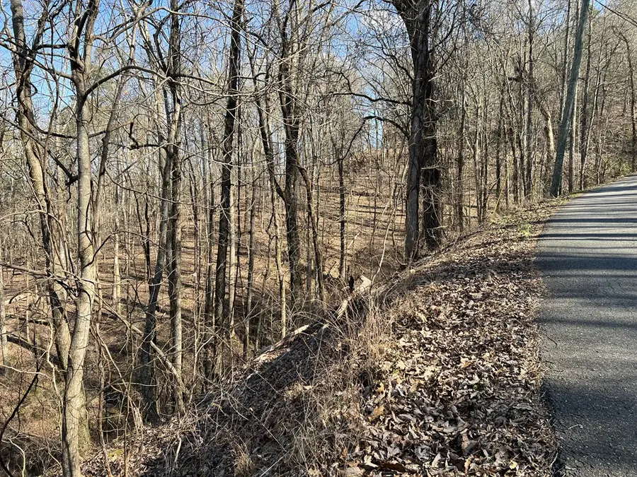 Lot 326 Adair Drive, Ranger, GA 30734 - #3