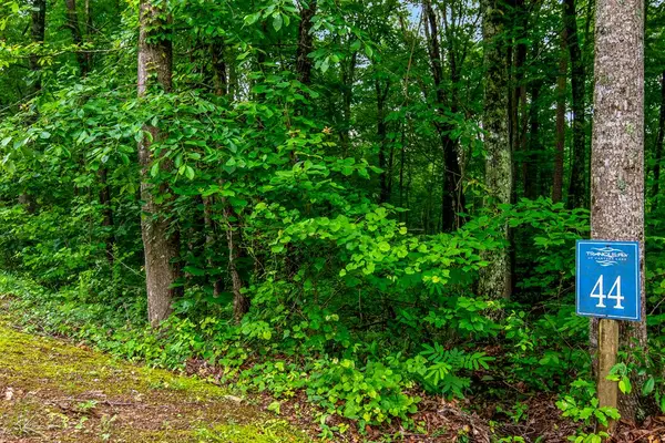 Lot 44 Harris Creek Drive, Ellijay, GA 30540