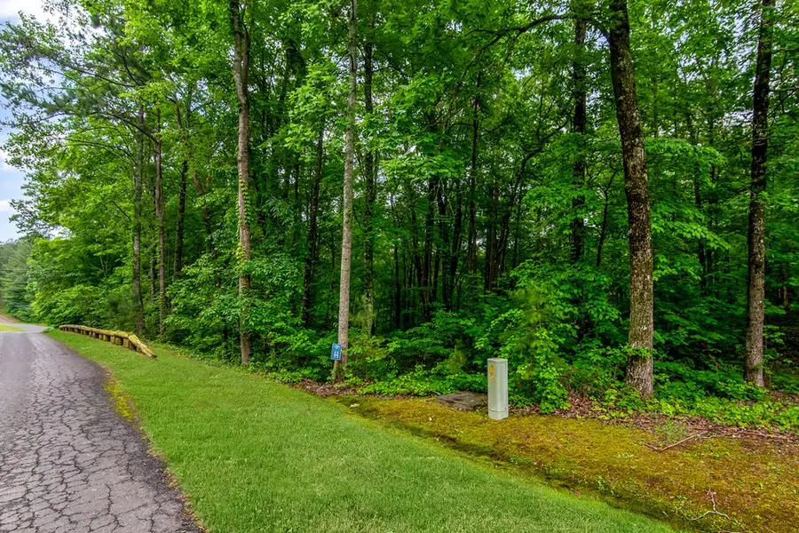 Lot 44 Harris Creek Drive, Ellijay, GA 30540 - #2