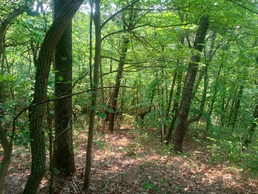 Lt 1227 Hilton Drive, Ranger, GA 30734 - Image #3