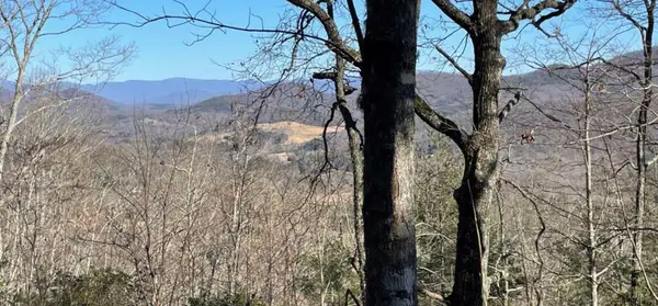 Lot 6 Wild Turkey, Young Harris, GA 30582