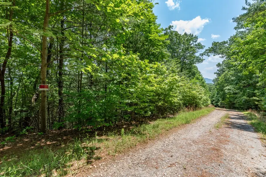 Lot 6 Wild Turkey, Young Harris, GA 30582 - Image #3