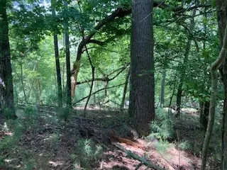 #3