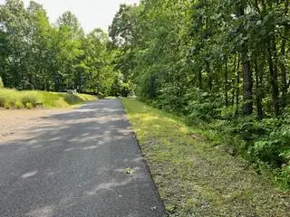 Lot 10 Trillium Heights, Brasstown, NC 28902 - #3