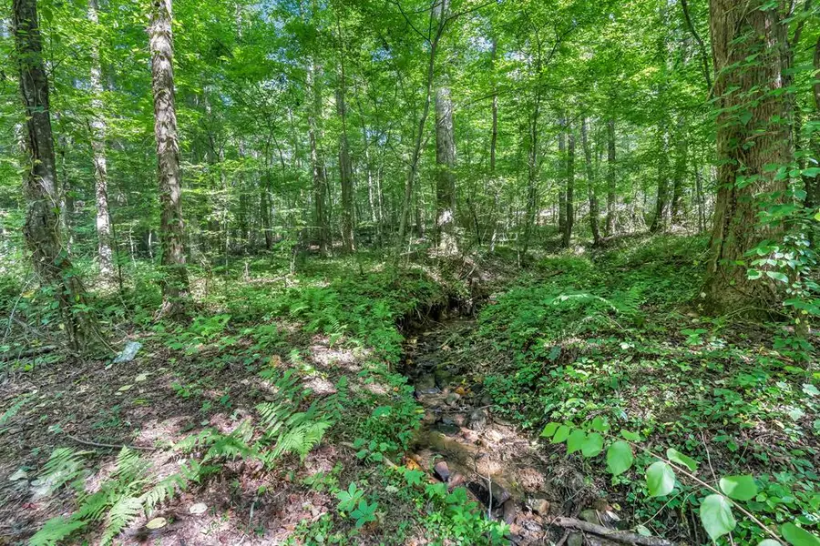 414 Twin Mountain Lake Circle, Talking Rock, GA 30175 - #3