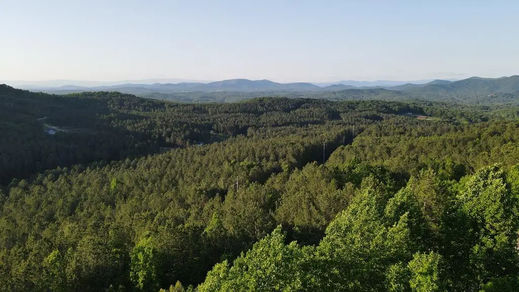 LOT 70 Ridge Peak View, Blairsville, GA 30512 - Image #1