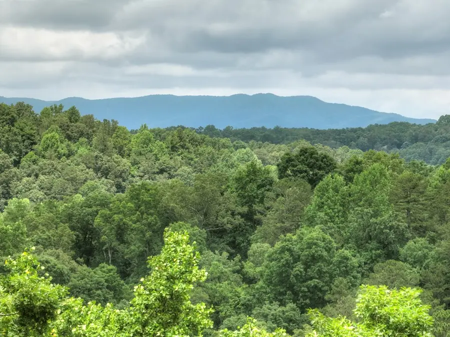 897 Faraday Drive, Ellijay, GA 30540 - Image #3